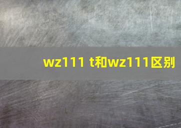 wz111 t和wz111区别